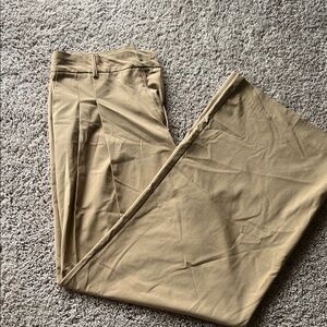 ZARA Women’s Tan Pleated Pants
